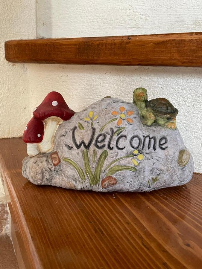 Camellia Guesthouse Anilio Pelion Buitenkant foto