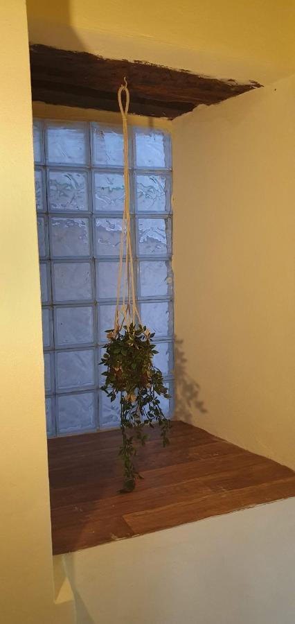Camellia Guesthouse Anilio Pelion Buitenkant foto